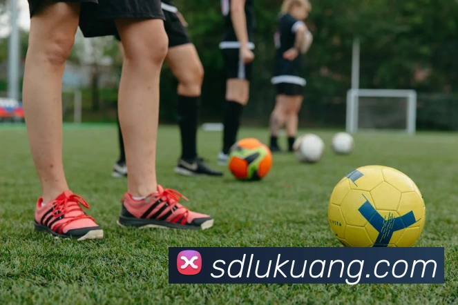 世界杯app官网品牌故事