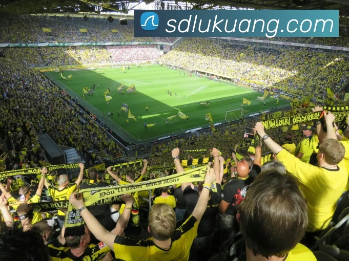 世界杯app官网APP 体育赛事宣传图